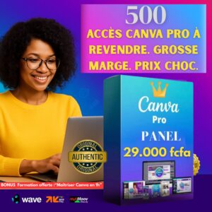 Pack Revendeur Canva Pro (500 Accès + Formation Canva offerte)